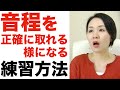 【音程トレーニング】正確に取れる様になる練習方法【ボイトレ】