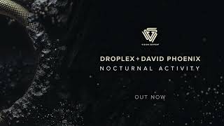 Droplex & David Phoenix - Nocturnal Activity