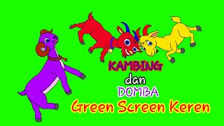 Green Screen Animasi Kambing dan Domba Keren