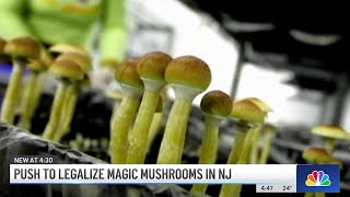 New Jersey legislature to consider bill decriminalizing magic mushrooms | NBC New York