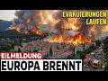 EU-ALARM: Provence-Feuer ERUPTIERT — 1.700 Hektar in STUNDEN! Mistral bedroht 200.000!