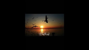 استغفر الله العظيم و اتوب اليه/ #quran #المصحف #قرآن_كريم #آيات #تلاوة ##قرآن#القرآن_الكريم#تلاوة 💓