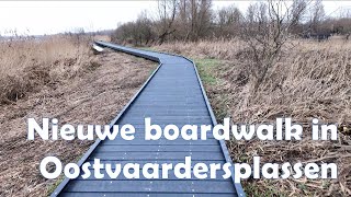 Nieuwe boardwalk in de Oostvaardersplassen