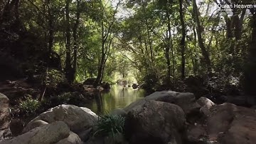 047 - Mohammed - Soud Al Shraim سورة محمد - سعود الشريم