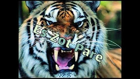 Zouk Chire ☆ Es Zot Pare