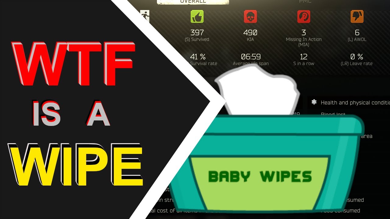 EFT - HELPFUL WIPE INFO - Patch 12.6 - New Players Video Guide