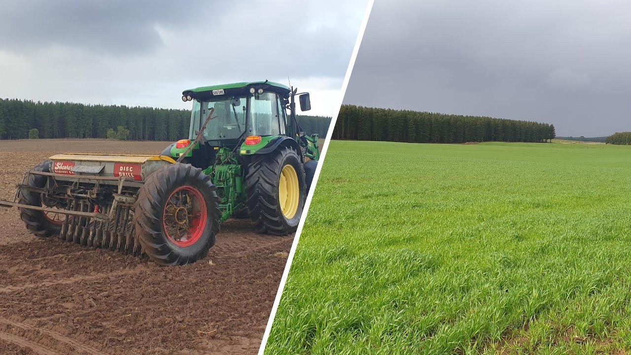 Sowing Oats and Barley in the Limestone Coast of South Australia