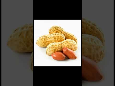 Pictures only SCP
