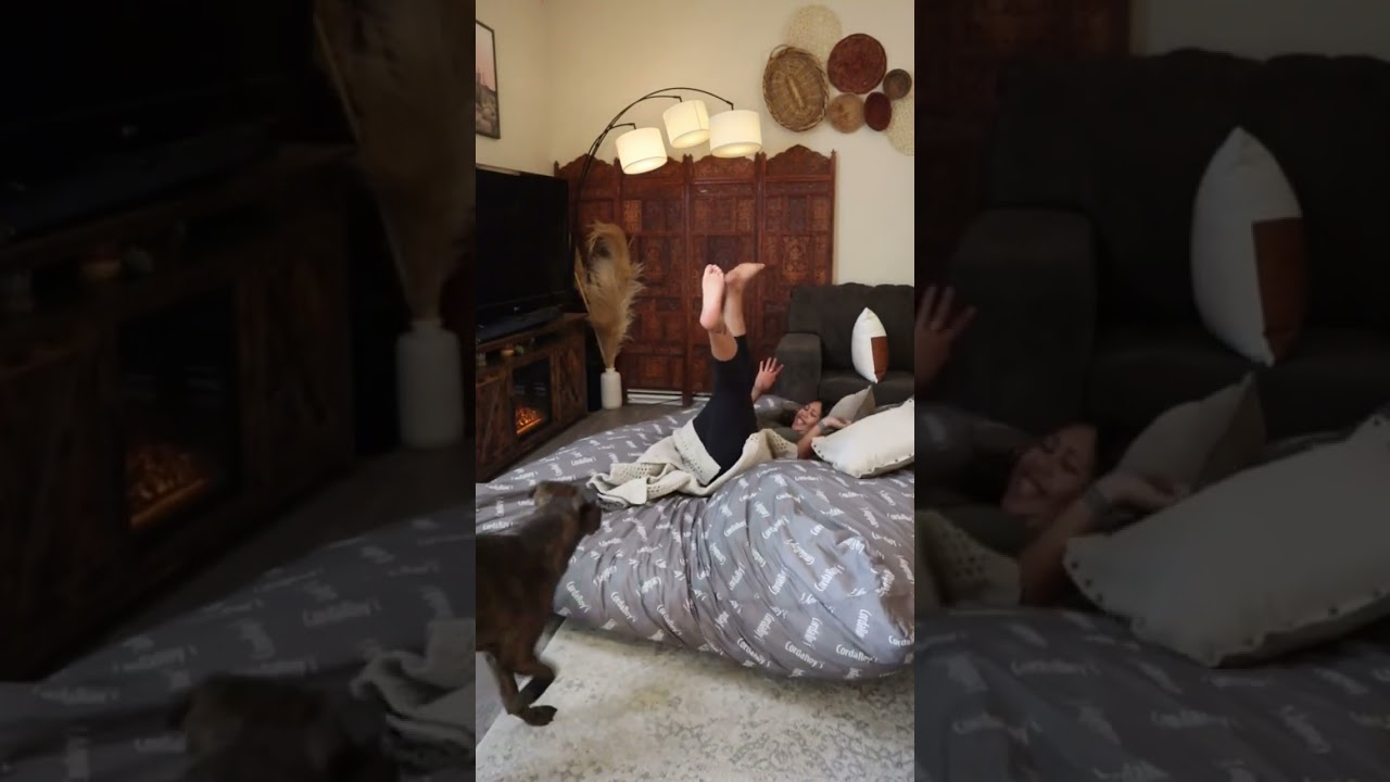 We're obsessed with the convertible bean bag. 