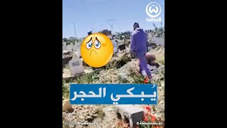 الفيديو الذي أبكى الجميع.. شاب جزائري توفت والدته وهو في الغربة يزور قبرها لأول مرة بعد 8 سنوات😢