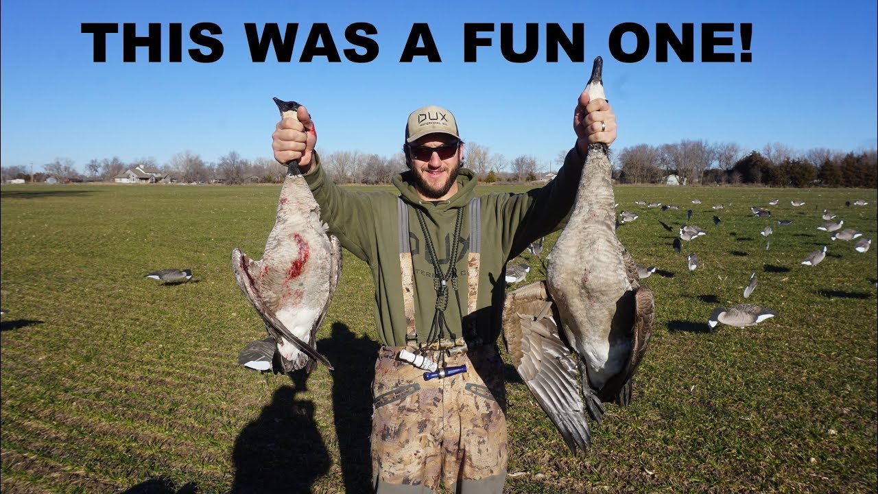 Shooting the BIGS and the SMALLS! Kansas Wheat field Goose Hunt YouTube
