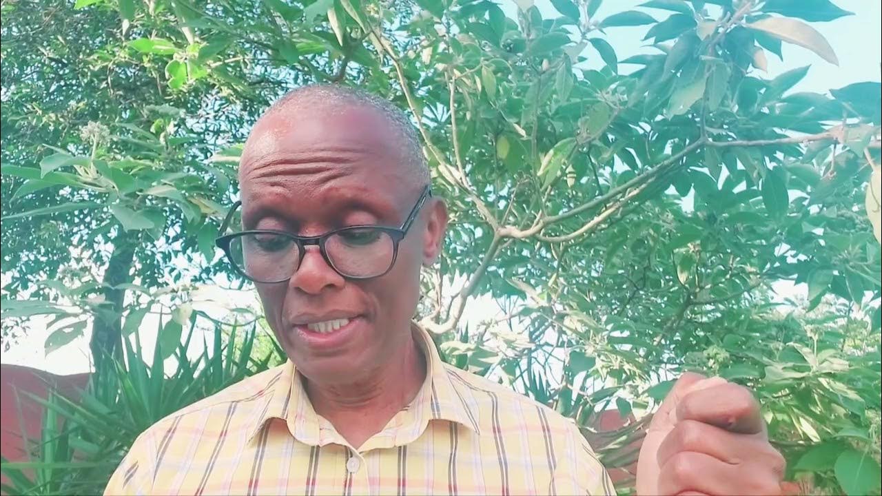Lesson 3 realizing our condition steps to christ bible study series 
