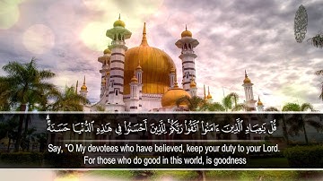 تلاوة من سورة الزمر | القارئ عبدالسلام درع | تلاوات خاشعة HD