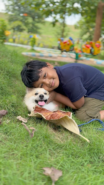 katogge😢kato lo#pets #petlover #youtubeshorts #trending #viralshort #shortsfeed #ytshorts #love