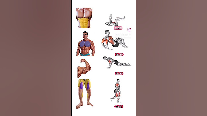 exercice Muscu #maison #musculation #salles #pecs #biceps #fitness #exercice #exercices #abdos