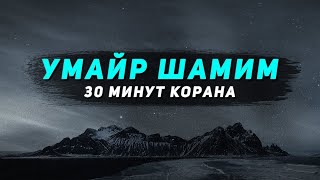 30 минут прекрасного чтения Корана!  || Умайр Шамим