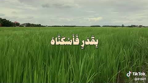 وانزلنا من السماء ماء فاسكنا به القارئ عمر عبدرحمن
