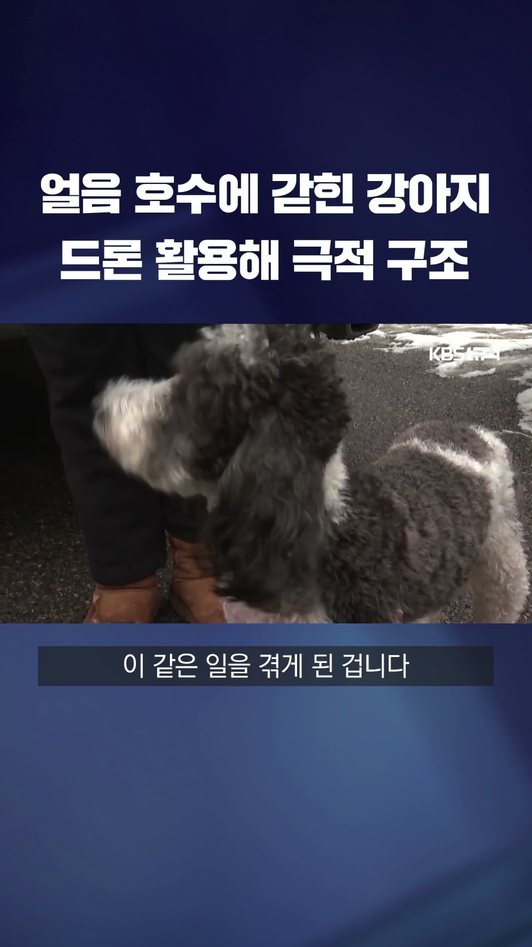 얼음 호수에 갇힌 강아지…드론 활용해 극적 구조 #shorts / KBS