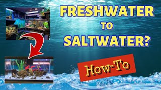 Freshwater to Saltwater Conversion How To!