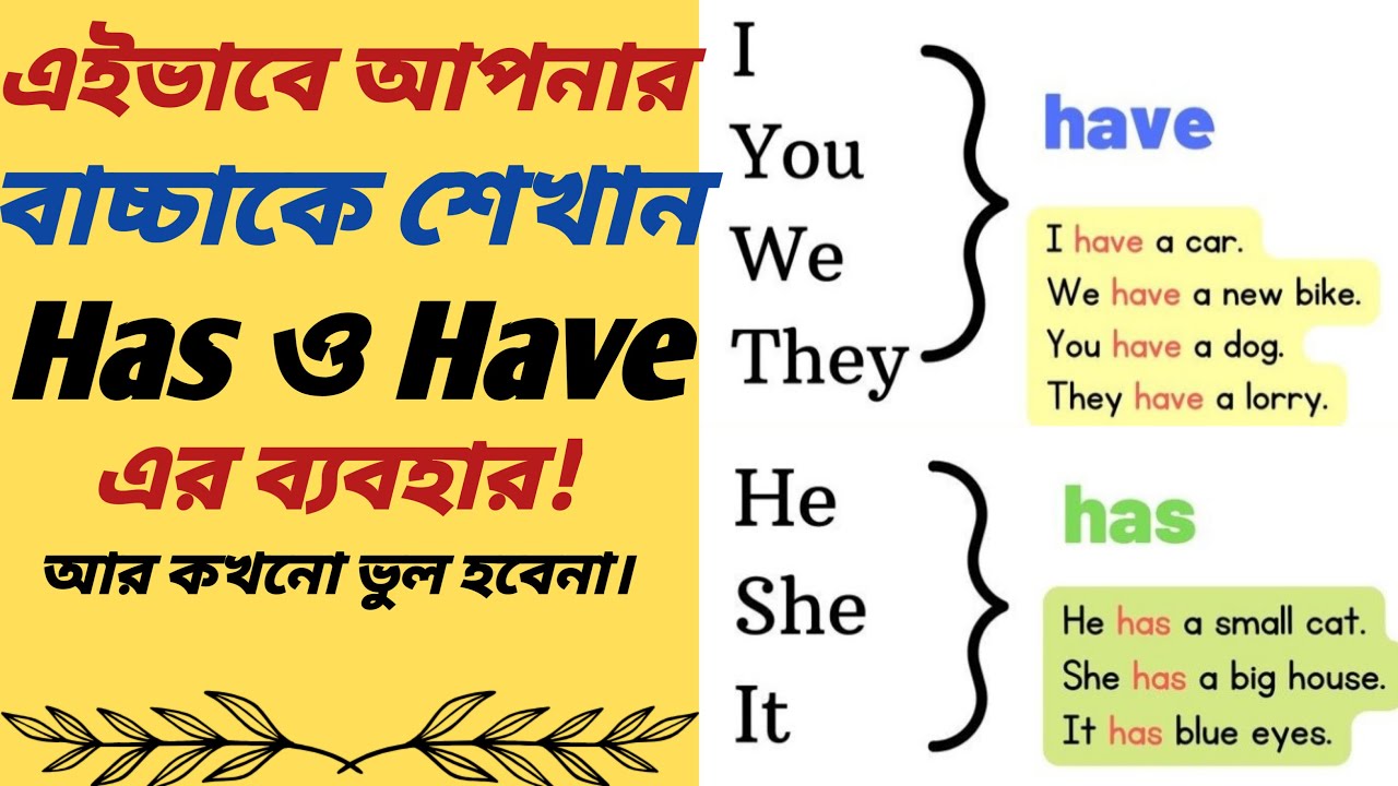 Has Have Has Have Use Of has-have-has-have-use-of