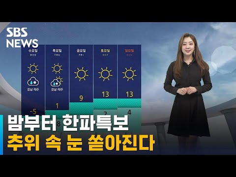 [날씨] 밤부터 한파특보…추위 속 눈 쏟아진다 / SBS