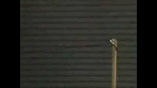 Serbia and Montenegro v Netherlands Highlights