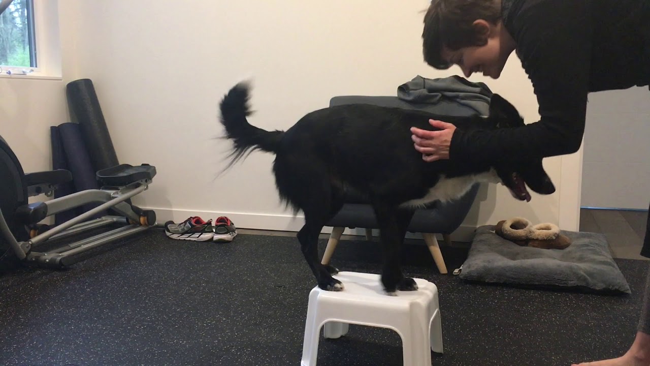disc tricks week 4 session 2 - YouTube