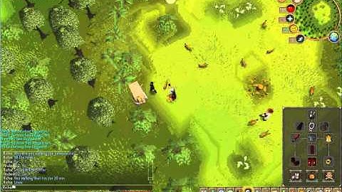 Runescape: Botter Caught