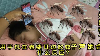 老婆熟睡，用手机在她耳边放蚊子声，嗡嗡叫，她会有啥反应？