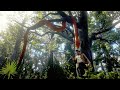 Giant Anaconda in RDR2 | Lemoyne