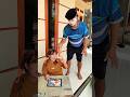 Kena saos tump4hh !!!" #funny  #shorts