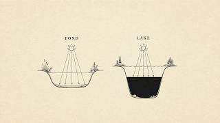 What's the Difference Between a Lake and a Pond