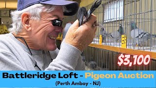 The Most Expensive Pigeon Auction in NJ!