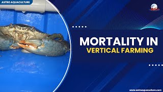 Mortality in Vertical farming screenshot 4