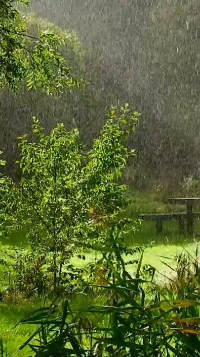 Baarish ki dhun #viral #viralvideo barsaat kidun jubin nautiyal songs videos