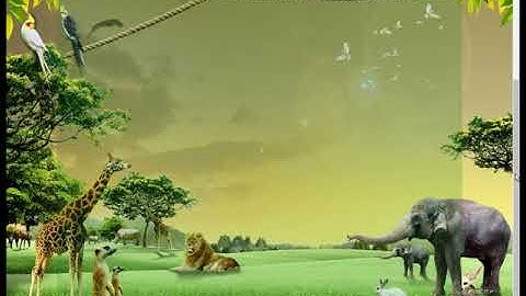 08  HTML and CSS Animated Project in Urdu  - HTML and CSS Animation Project