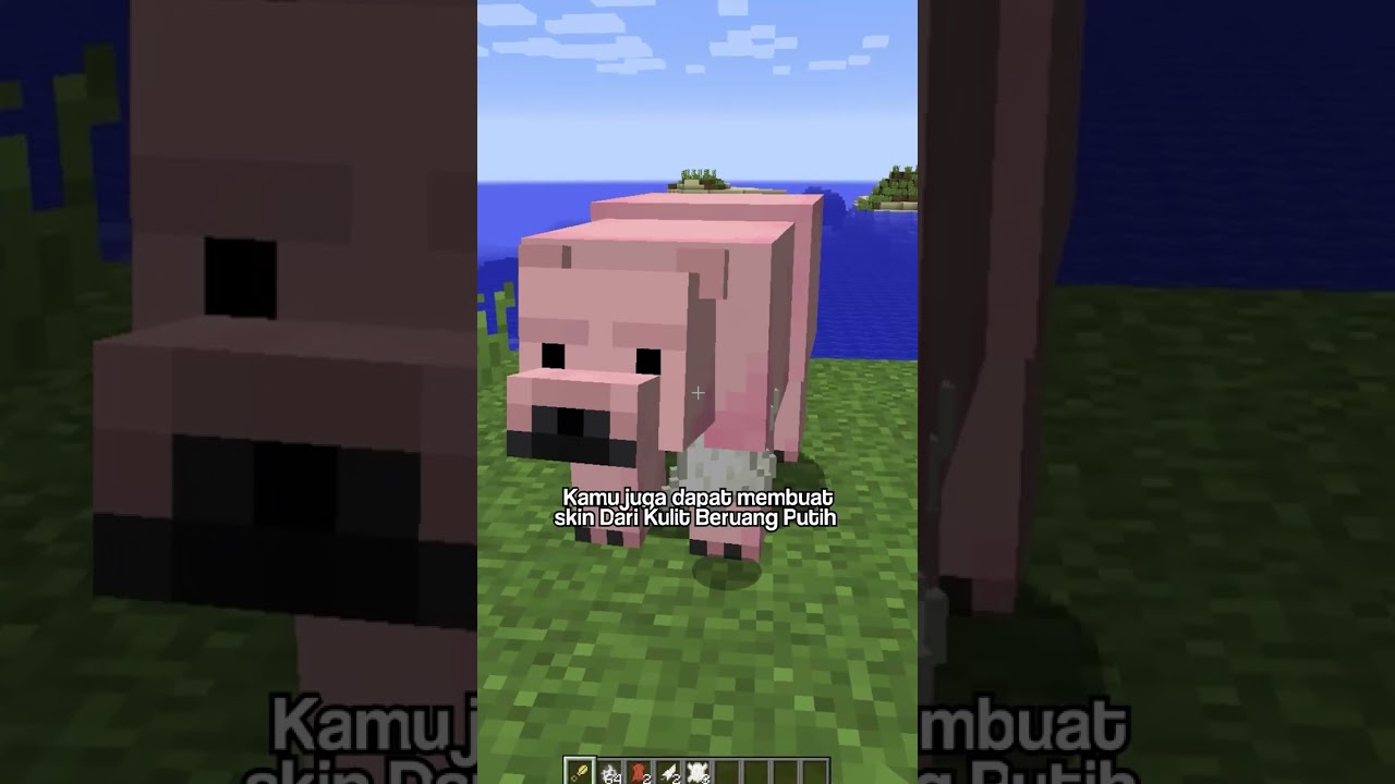 Jangan Potong Kulit Creeper