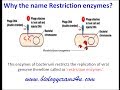 Restriction enzymes: Definition, Types and Cut Patterns