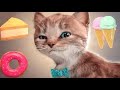 Little Kitten - My Favorite Cat - Play with cute little kitten - Educational game for kids #248