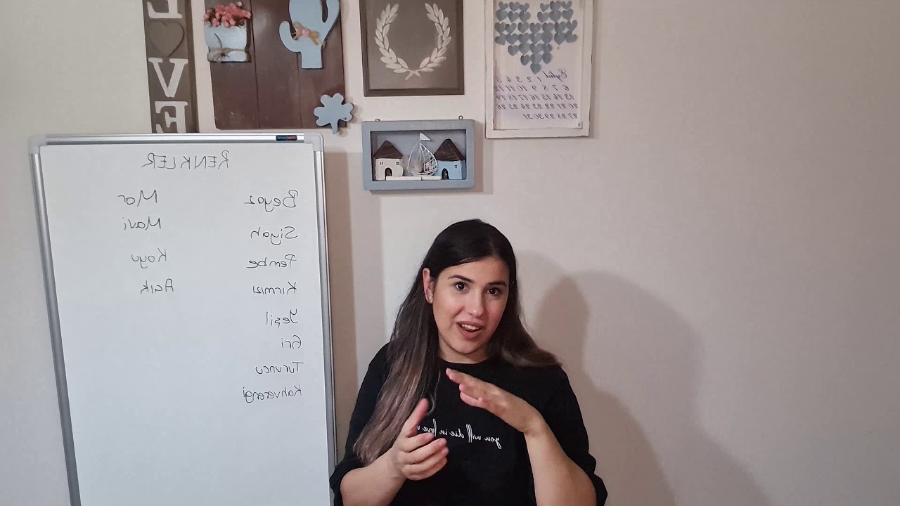 Türk İşaret Dili-Renkler