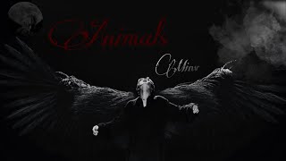 Animals Minv