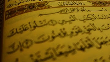 سورة القصص للشيخ أدريس أبكر تلاوة عذبة ومؤثرة تلين لها القلوب