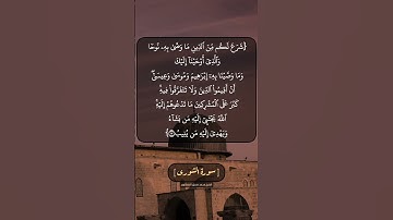 سورة الشورى الآية ١٣ بصوت الشيخ محمد صديق المنشاوي