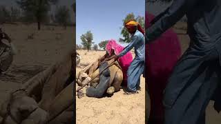 20 days surviving registan with hot garmi saving water