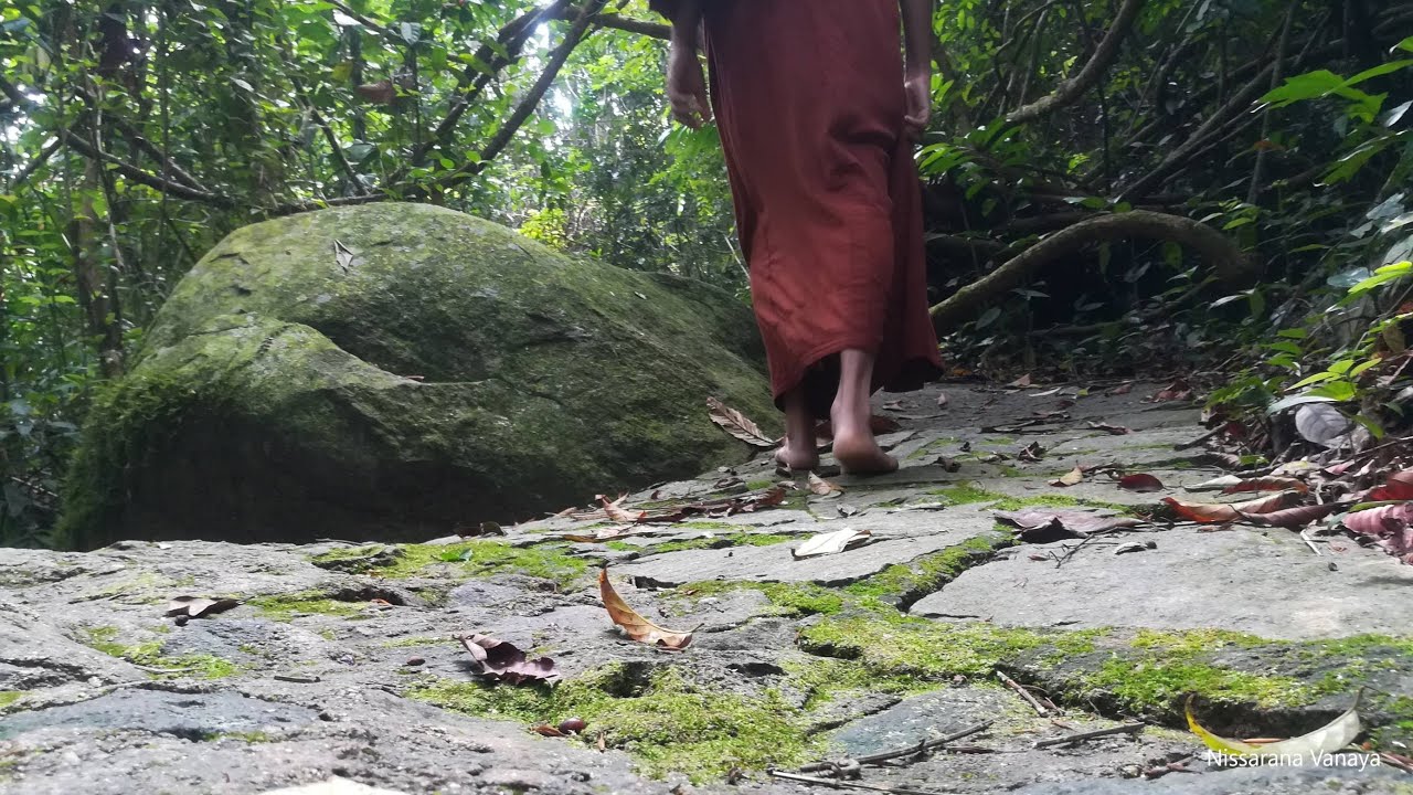 Paticca Samuppada(Dependent Origination)|77|Most Ven Dhammajiva Maha Thero|2025-10-07