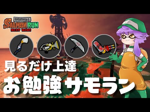 【サーモンランNW】見るだけ上達"お勉強ｻﾓﾗﾝ"！火力と機動力とハイドラトキシラズ！！【スプラトゥーン3】