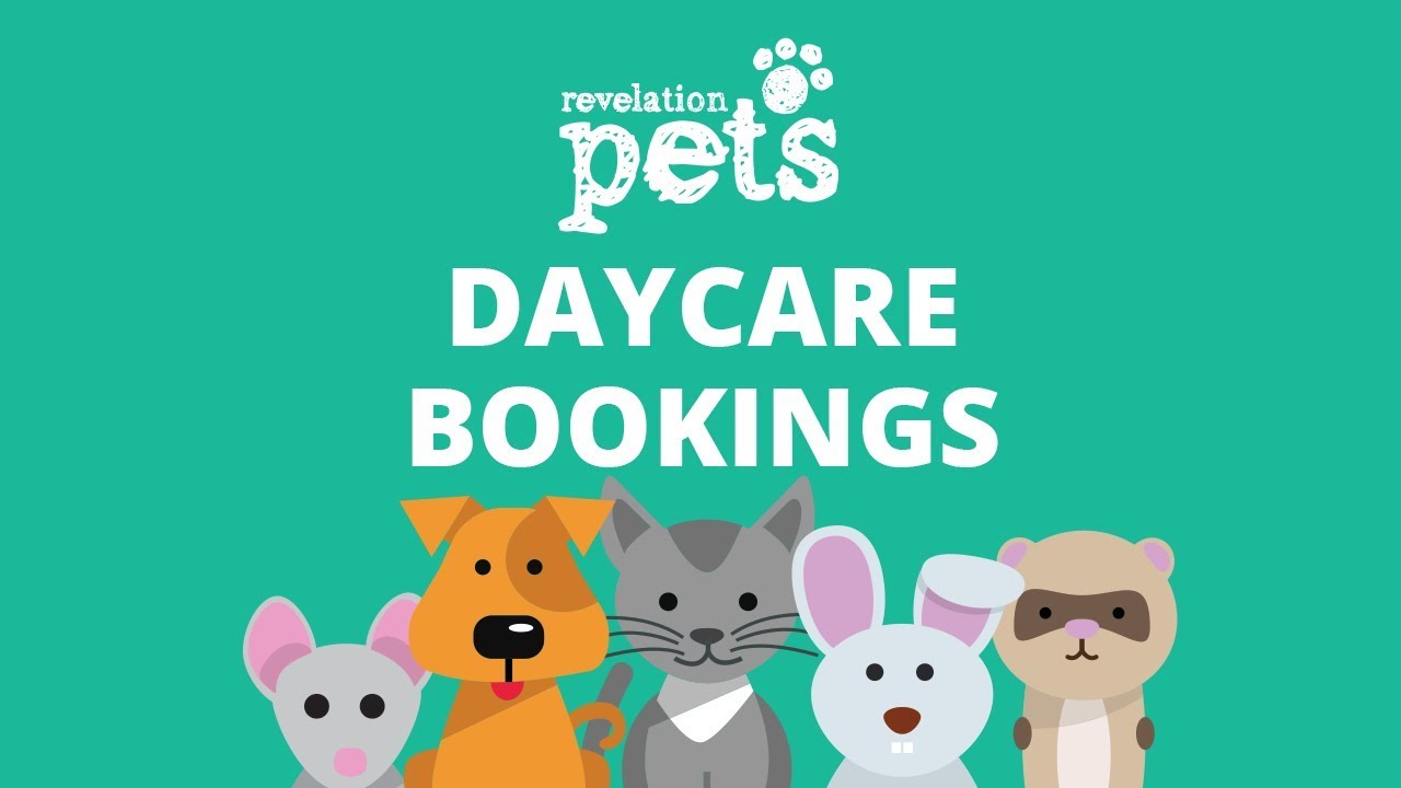 Daycare Bookings