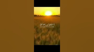 آيه في سورة الزمر 🌹