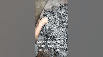 Nhận hoả táng trọn gói Thú Cưng: Chó, Mèo,... tại Cần Thơ và các tỉnh lân cận. ĐT(24/24): 0901014287