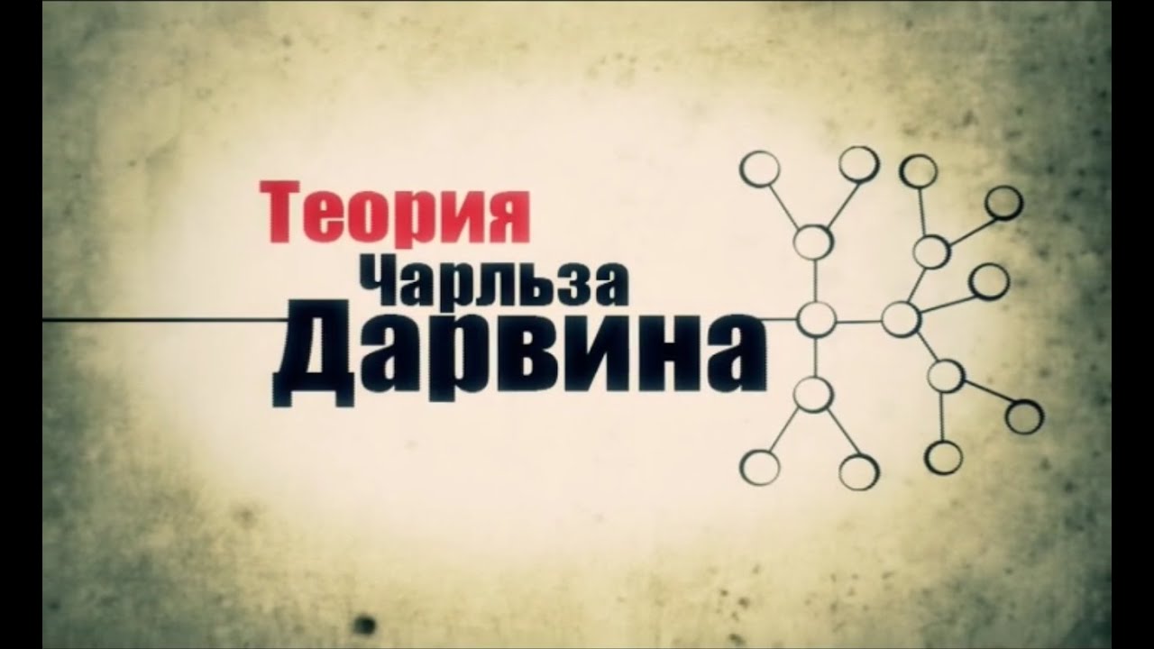 Теория Чарльза Дарвина - YouTube